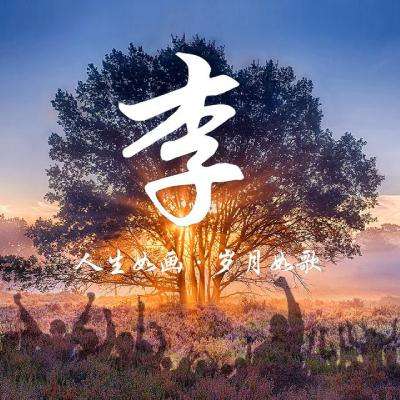以宽容心态推动二次元文化双向破壁