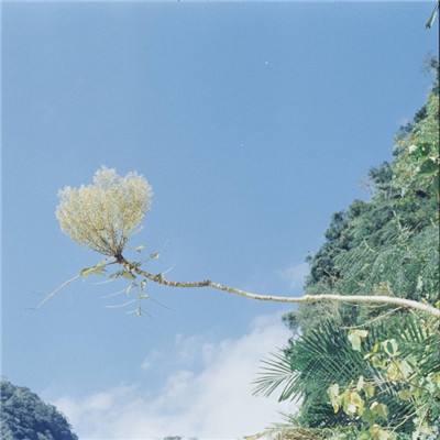 修仙缥缈录游戏